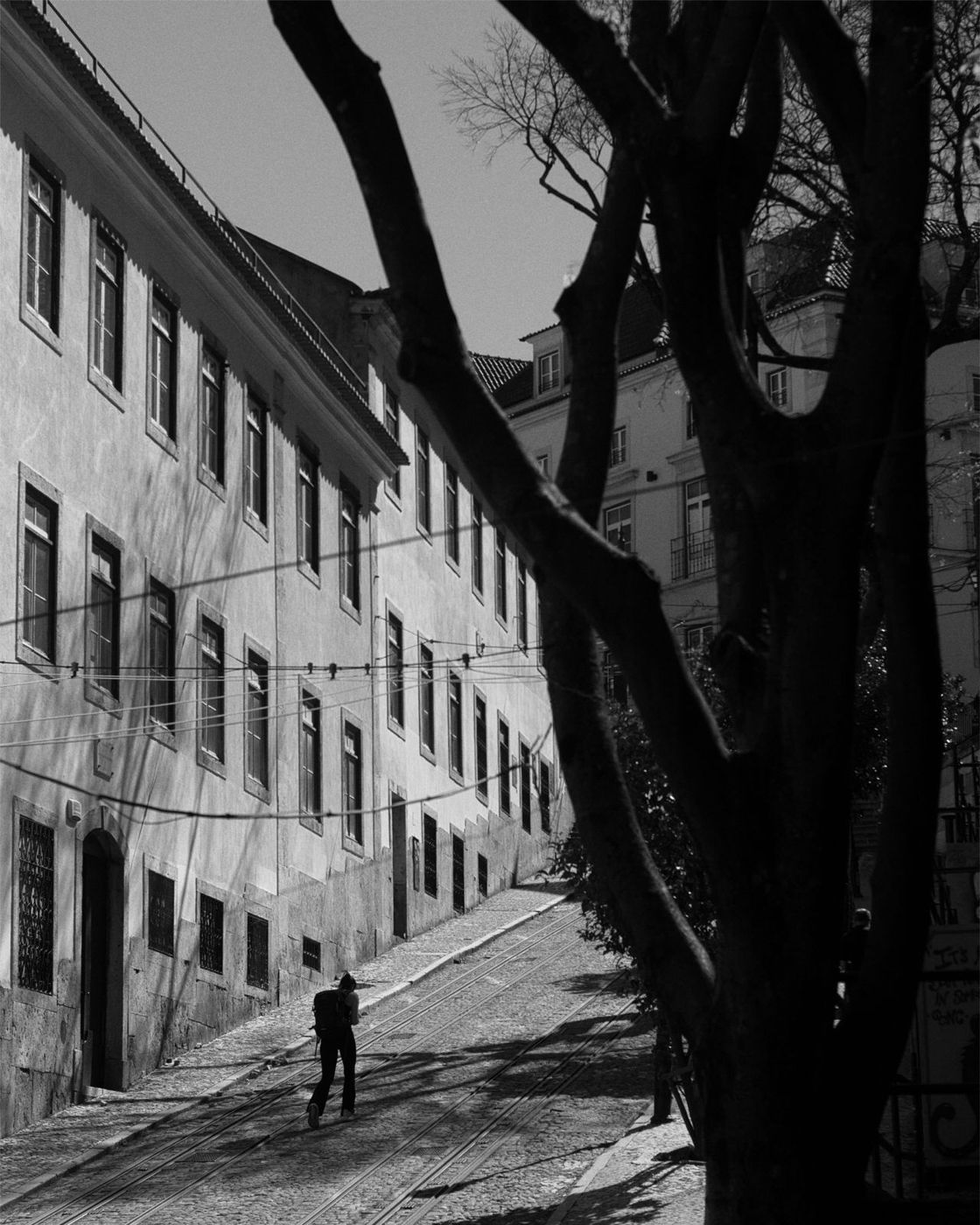 Lone figure on a Lisbon hill street lined with trees